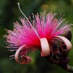 8512a3b4611bb79b806cecd4095012a8