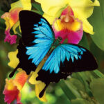 BW-Greatlocations-YourGuideappusethisimageforChildrensicon-3