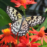 BW-Greatlocations-YourGuideapp1