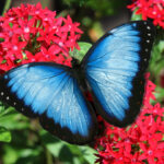 BW-Greatlocations-YourGuideapp2