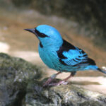 BW-Greatlocations-YourGuideapp4