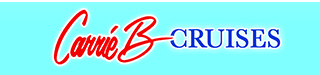 CarrieB Logo Banner 320x75 300px