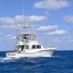 FishHQ-Big-Game-1