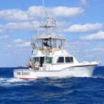 FishHQ-Big-Game-1-crop
