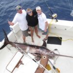 FishHQ_023-2-1