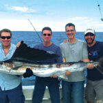 NewLattitude_Sailfish