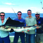 NewLattitude_Sailfish