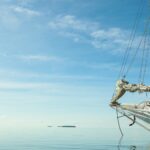 10257613_702391323158951_578205853765406962_o