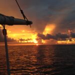 10259749_936200826444665_3335193131689304616_n