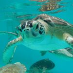 10339456_10152272403686786_5114098946102001728_o