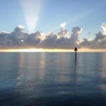 10583949_1523816167856071_2382749487864479496_n