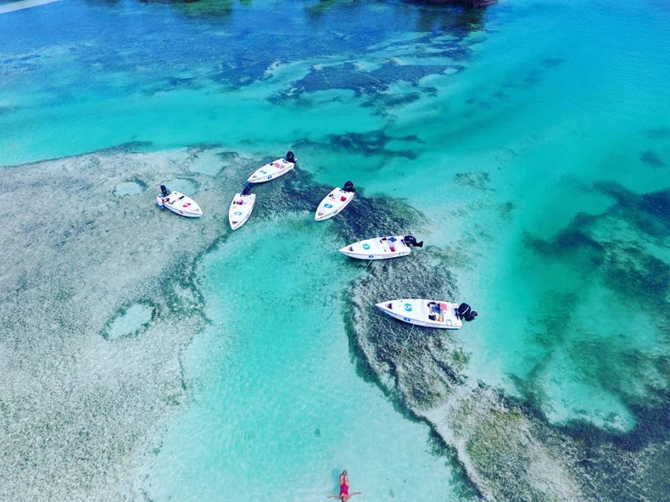 105904113_1767437140080416_6144079411149898600_n