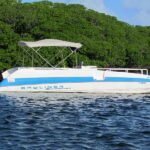 11022603_1599856050252082_4303317720976976832_n