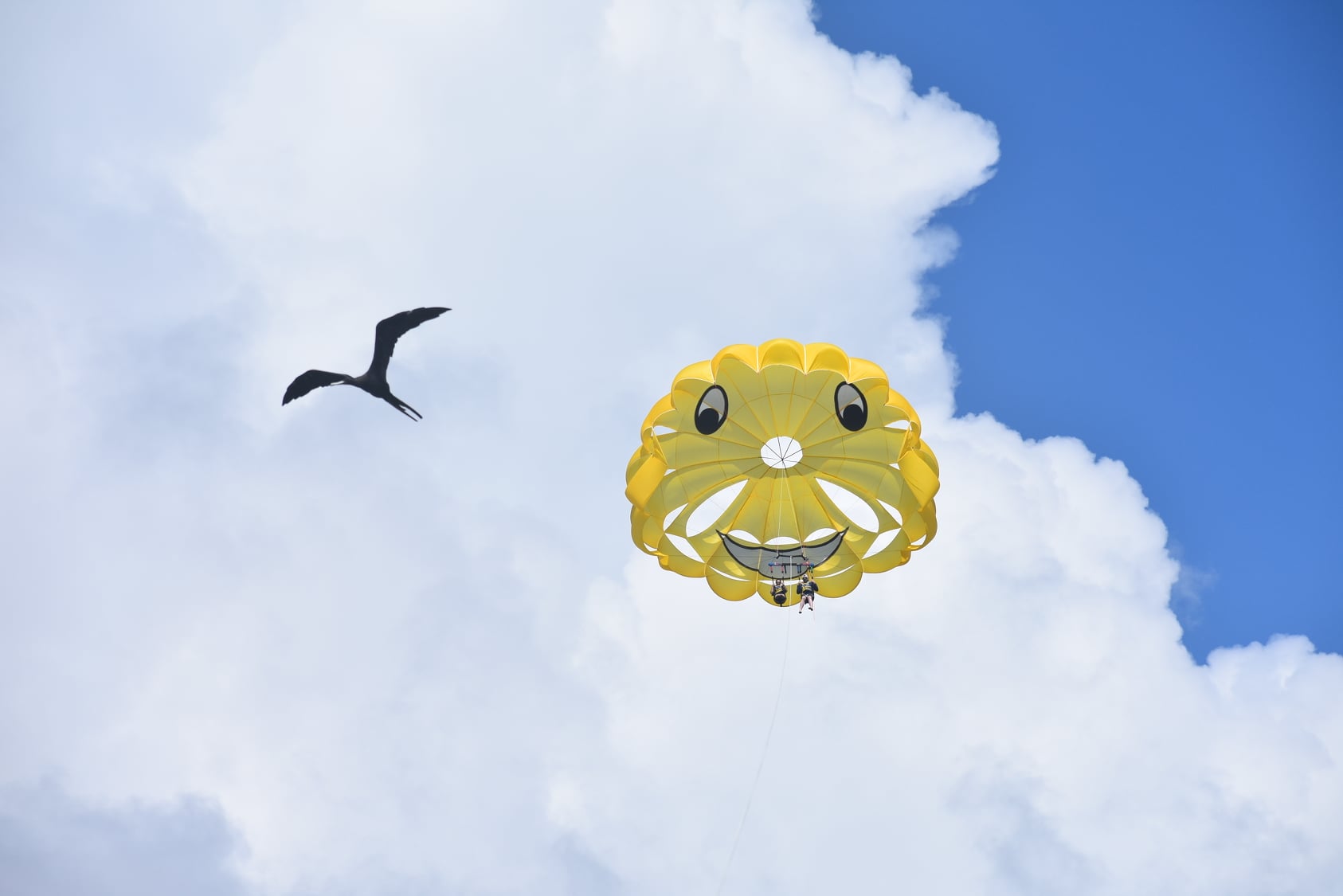 116583602_3311154895603106_1278189555208057297_n