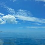 1175200_695736683774305_1971155916_n