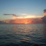 117894869_3175663795862406_4910606493194173013_n