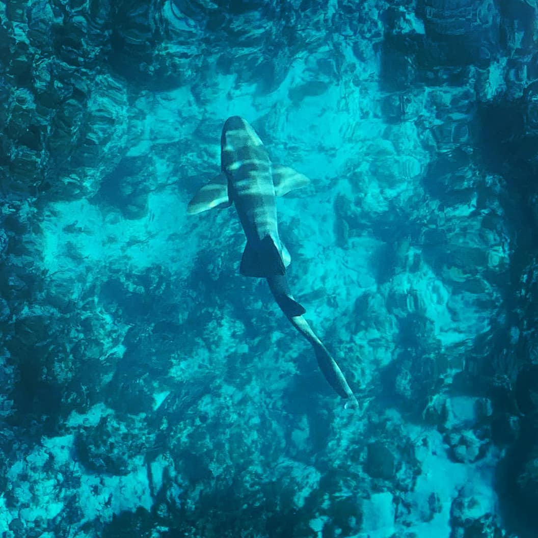 121710436_10158682671779910_4927336985463754455_n