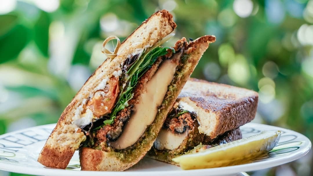 122143209_10158793322205797_4322682716728492434_n