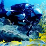 130880557_3685370934857341_5430551648440981955_n