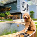 Brickell City Centre