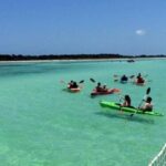 13339528_1135888933142519_6640333851340309662_n