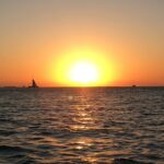 13416736_1290773450937289_6600278753477486681_o