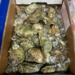 134289591_3830712543647590_3757326735232094935_n