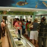 134901_174739029216175_2346153_o