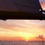 13603584_1162494053815340_3593679900599199975_o