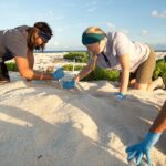 137058228_4125931670751613_1483104710118541061_n