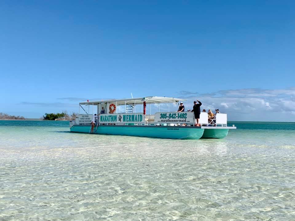 138721924_474984130552197_3568782338292256876_n