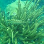 1397353_1564605653777122_6741934565241049997_o