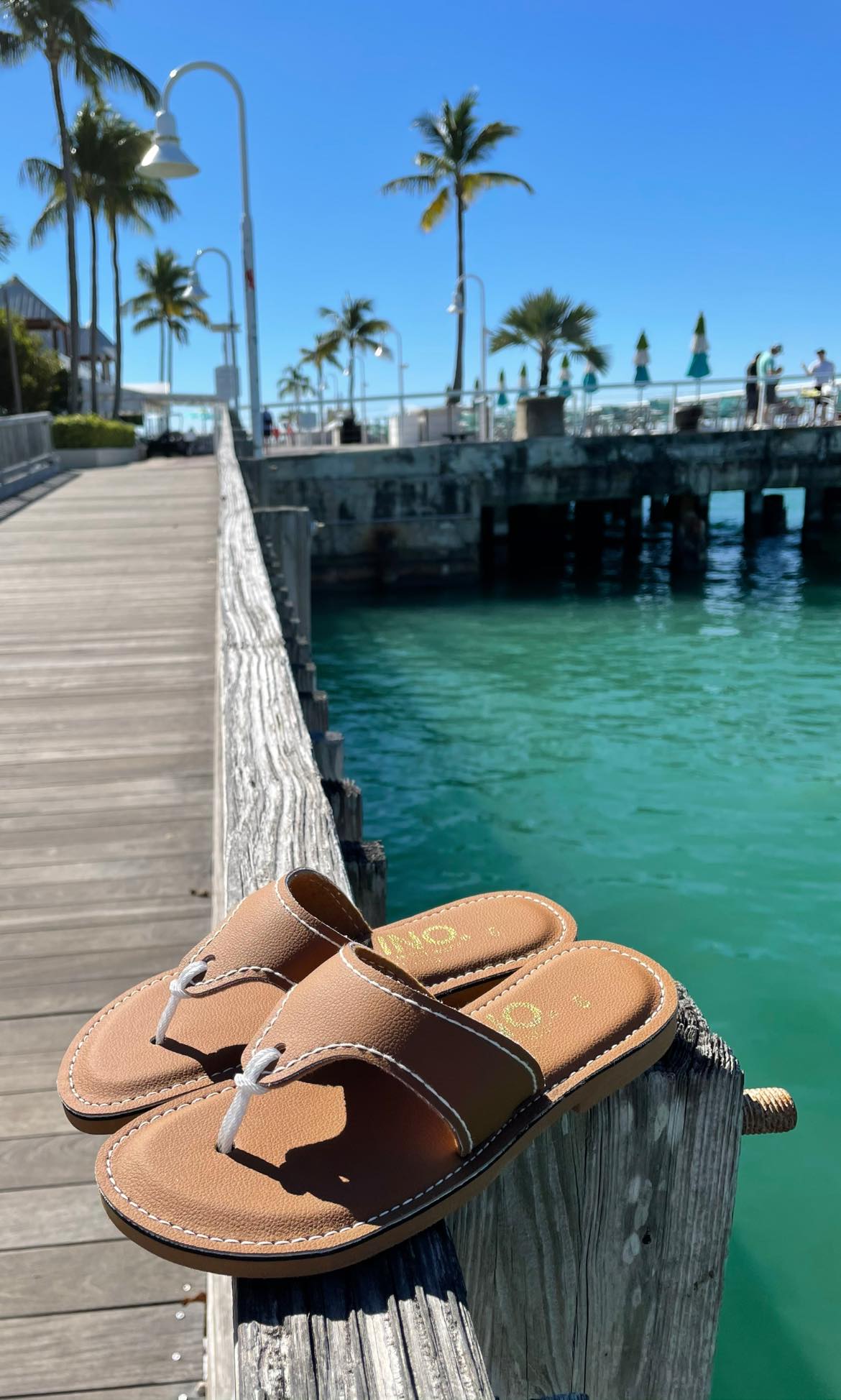 146085466_3895368880484925_1239297553420152794_n