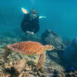 148493603_3846706432057123_4127395167856205545_n