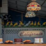 151067945_3987839697926133_2762997697939996618_n