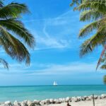 152373359_3991051990929052_1238136433065895528_n