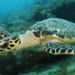 156570834_3479491662179979_6458082281112877498_n