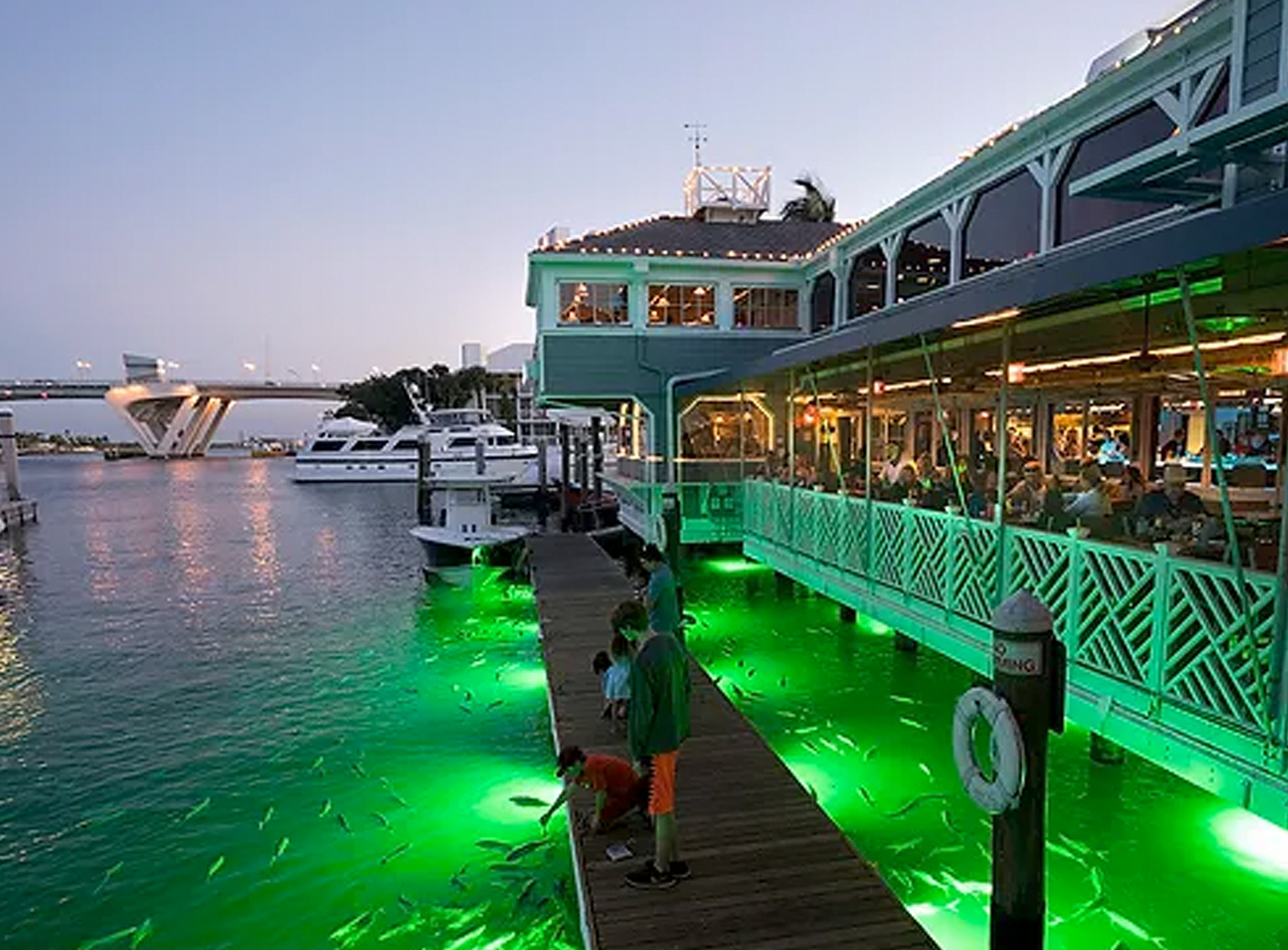 15stFisheries_DocksideGlow_TarponFeeding_Crop