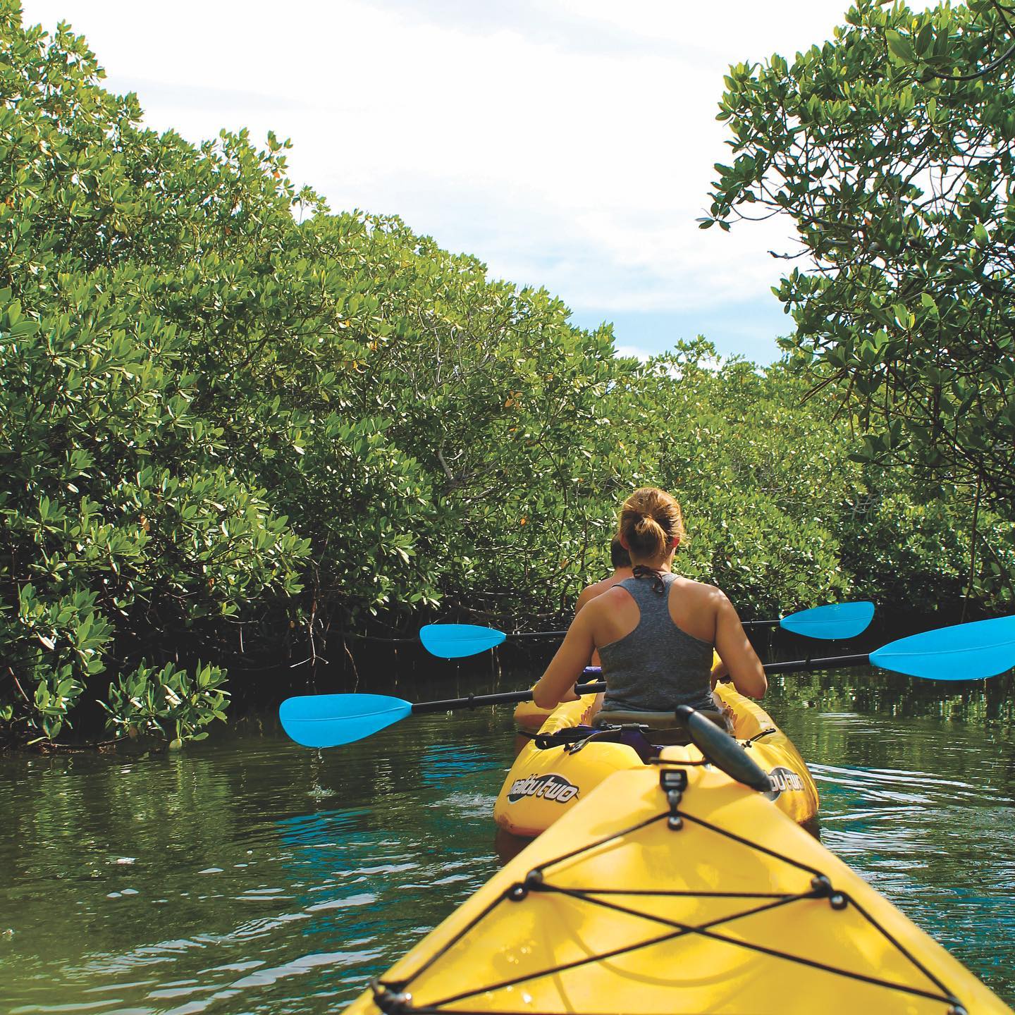 161736421_3863028523743433_3703098752036142008_n