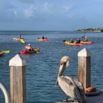 162361562_3867341653312120_3877275838710277604_n