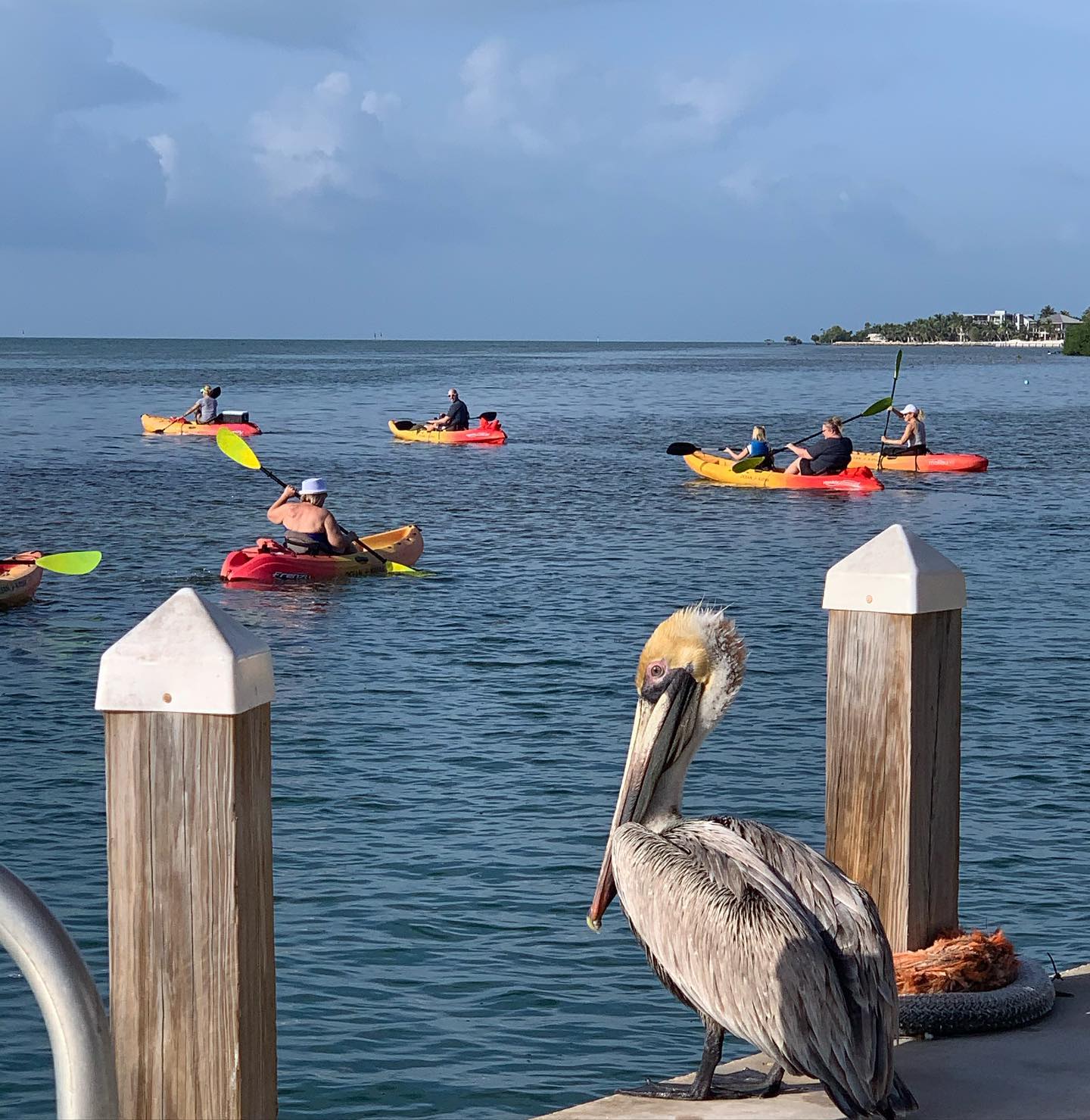 162361562_3867341653312120_3877275838710277604_n