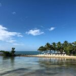 162950265_1183068208819380_4071673663145529538_n