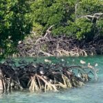 165920750_3892874954092123_1118639007887704999_n