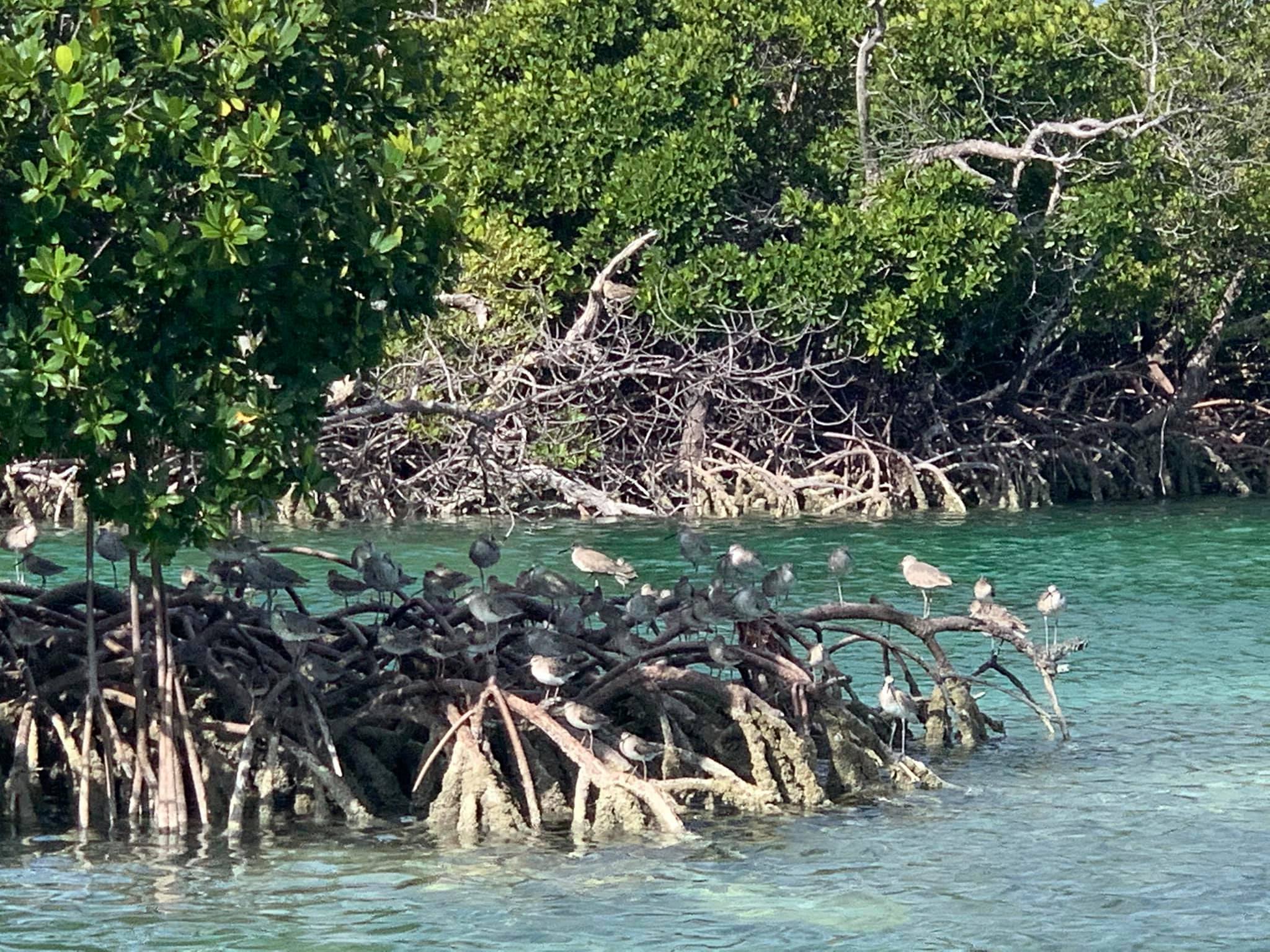 165920750_3892874954092123_1118639007887704999_n