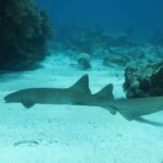 166583526_3557502414378903_3282312082505142831_n