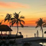 170209498_3826332237462222_6350156468503701531_n