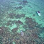 171176093_3928482300531388_9104881226432607493_n