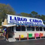 17353314_10154693652509039_4355724734467410115_n