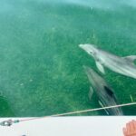 175549263_3956788731034078_2648257200298194092_n