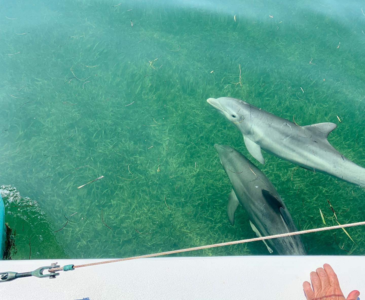 175549263_3956788731034078_2648257200298194092_n